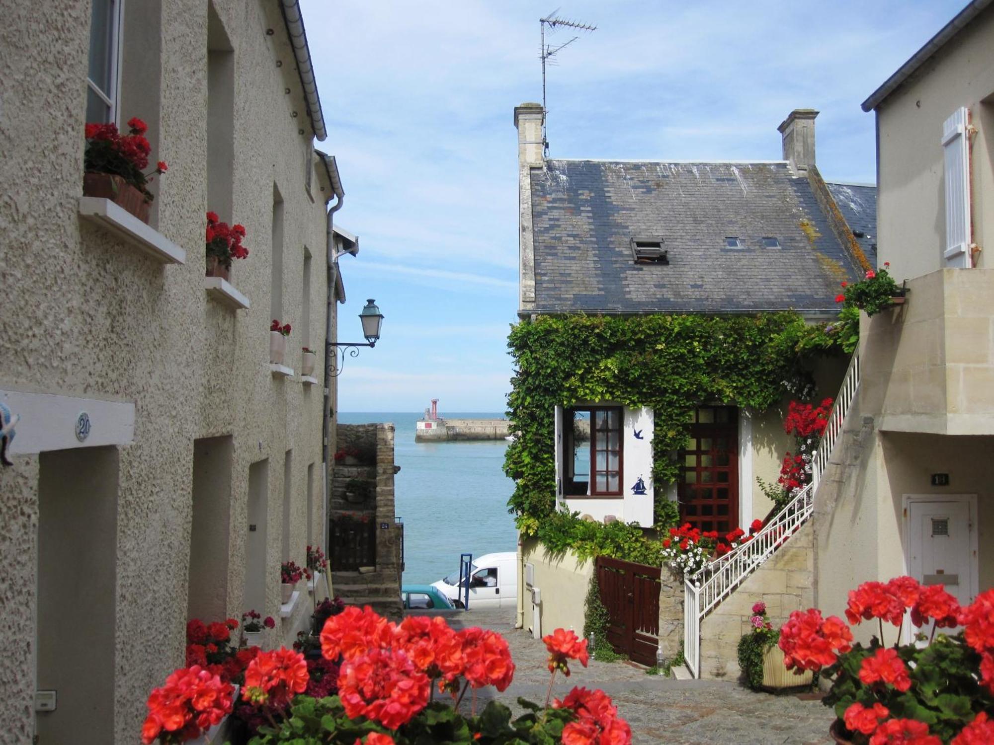 Gite "Au P'Tit Tourois" De Plain-Pied Tout Confort Avec Veranda Proche D'Omaha Beach Et De Bayeux Accueillant Les Animaux Exterior photo